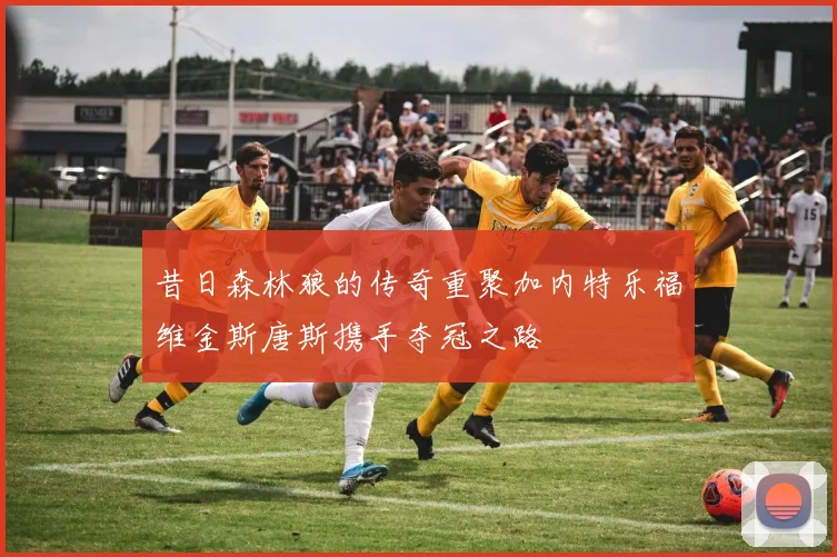 昔日森林狼的传奇重聚加内特乐福维金斯唐斯携手夺冠之路